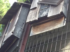 Occupied Bat Houses